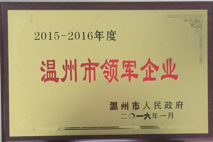 “2015—2016年度溫州市領軍企業(yè)”——浙江通力榜上有名